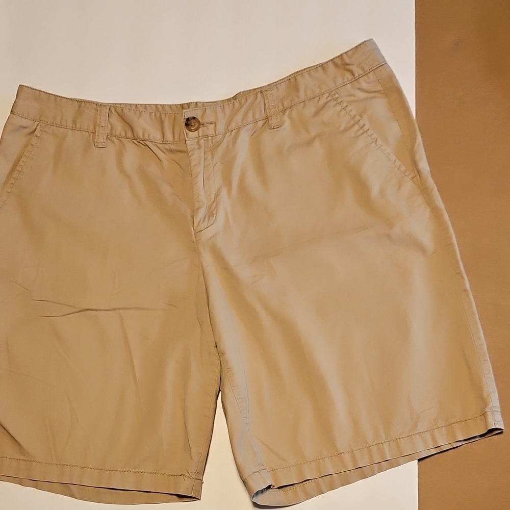 Tan Casual Shorts